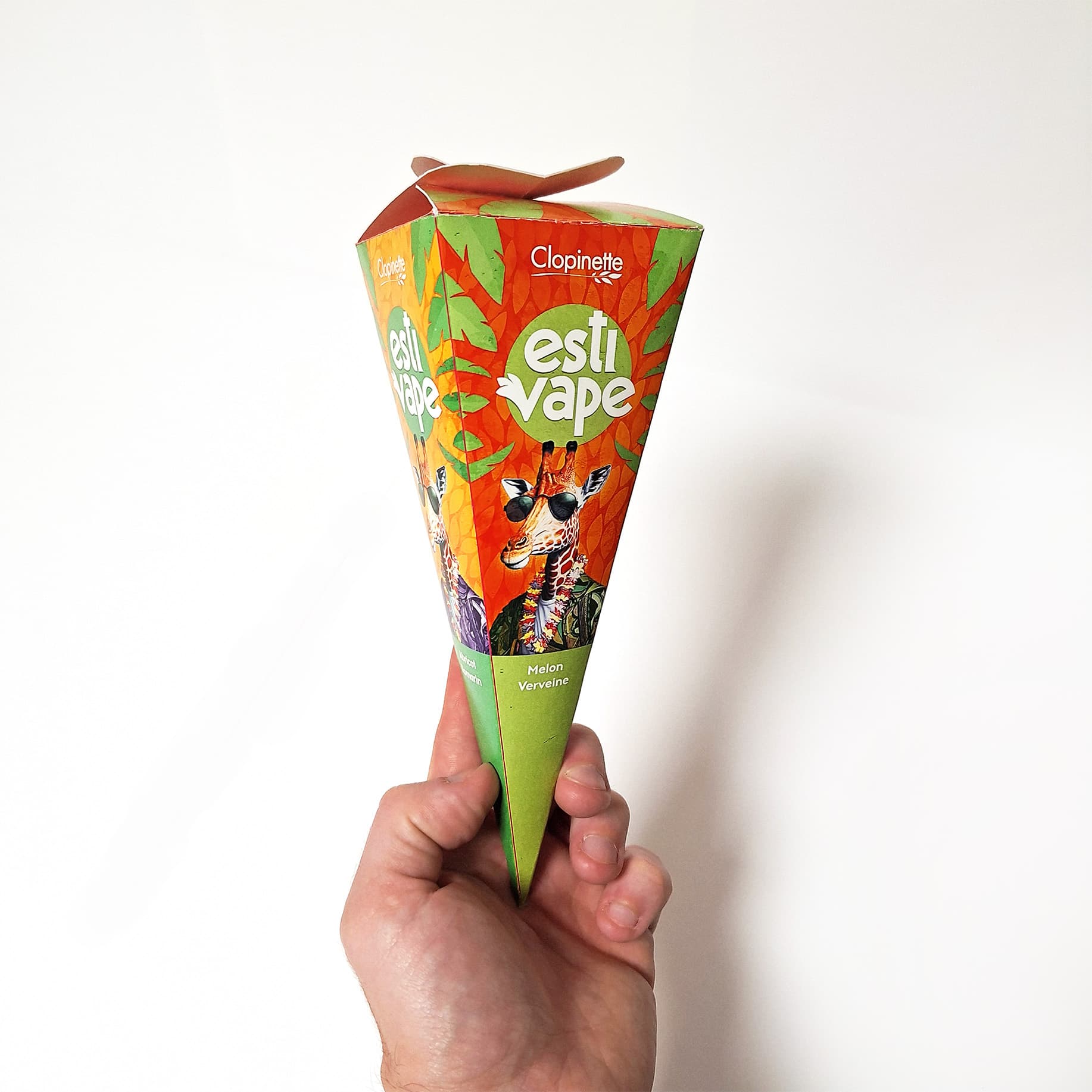 Etui pour vapoteuse (Alt)